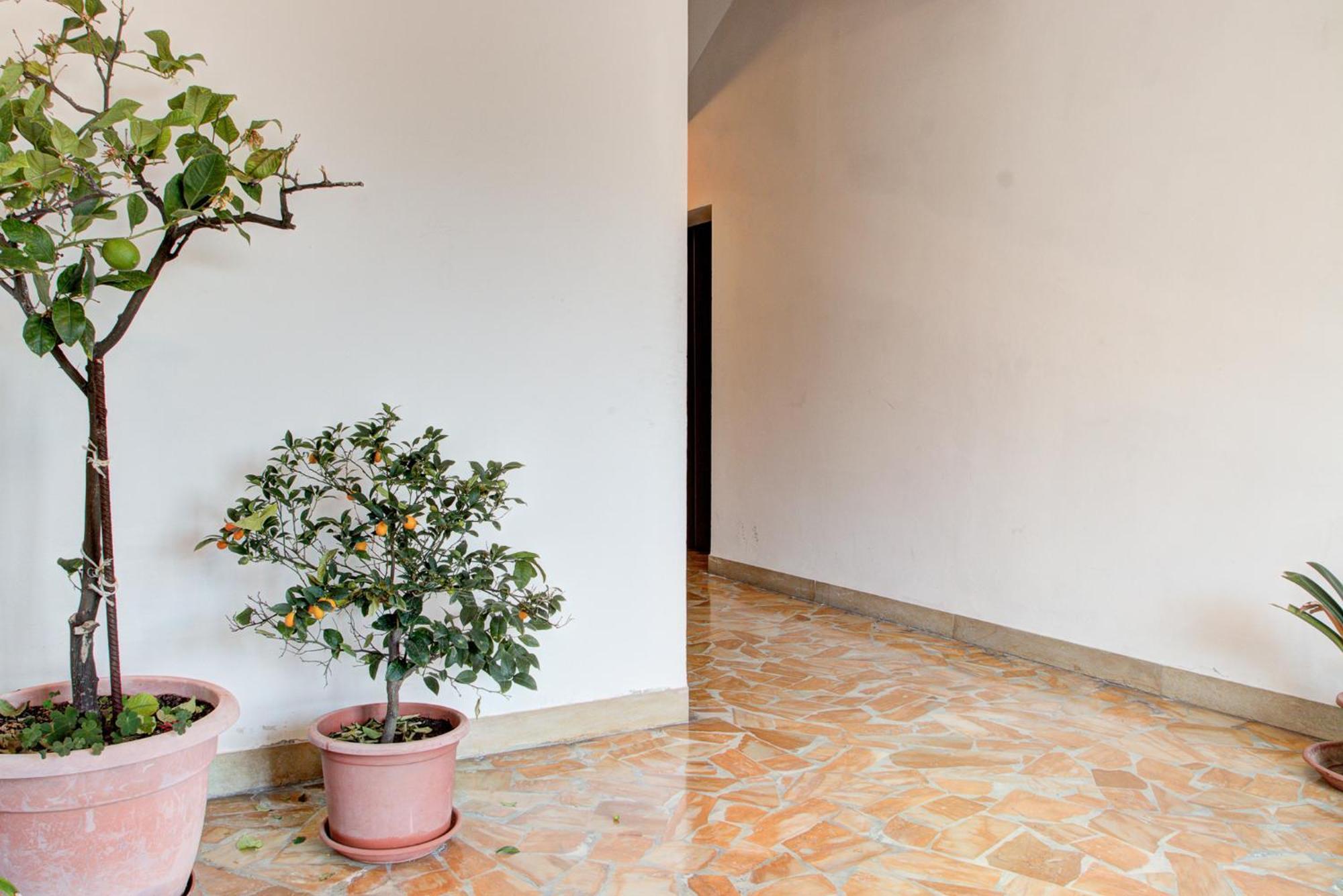 Casa Emilia Volterra Exterior foto